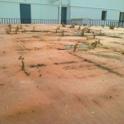 Varias obras